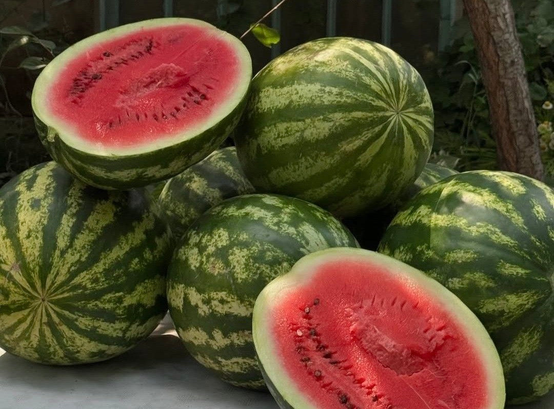 Chelcie’s Watermelon & Lime Electrolyte Cooler