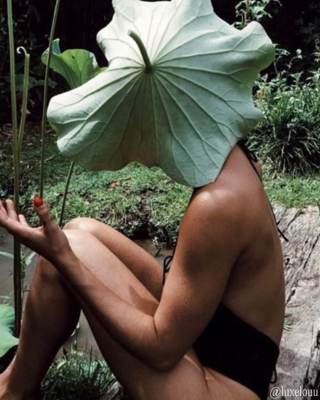 Stress is a Full-Body Experience (Not Just in Your Head)