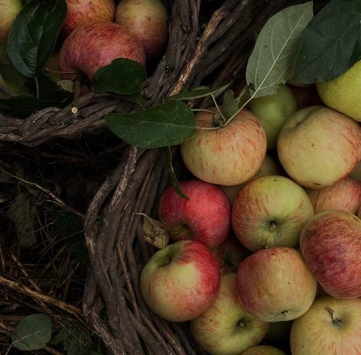 Chelcie’s Spiced Apple Collagen Smoothie