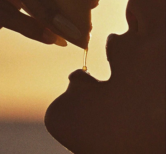 The Fall Hydration Guide: Water, Minerals, and Nourishing Foods